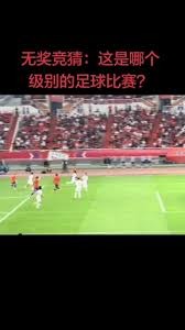 意甲联赛新动向 西蒙内利与马拉戈携手合作